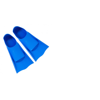 fins_1